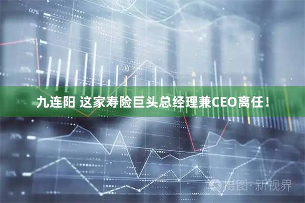九连阳 这家寿险巨头总经理兼CEO离任！