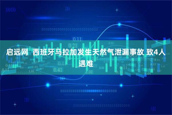 启远网  西班牙马拉加发生天然气泄漏事故 致4人遇难