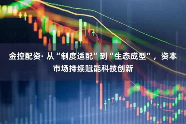 金控配资· 从“制度适配”到“生态成型”，资本市场持续赋能科技创新