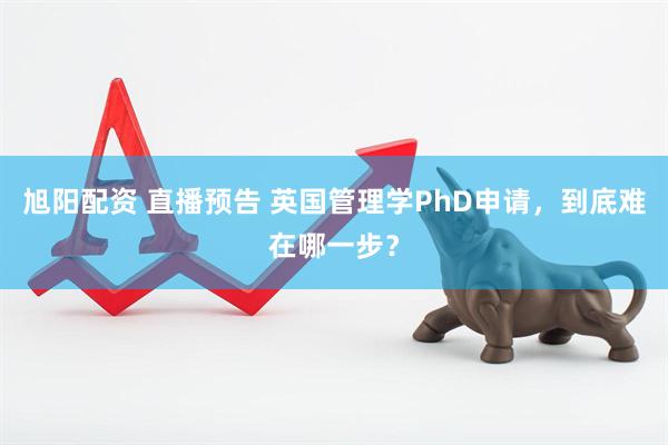 旭阳配资 直播预告 英国管理学PhD申请，到底难在哪一步？