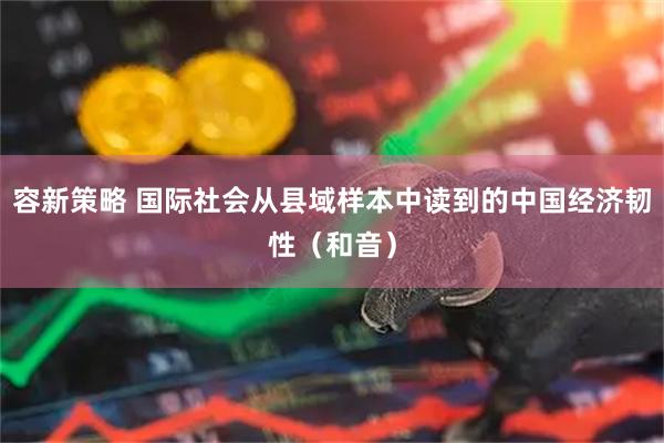 容新策略 国际社会从县域样本中读到的中国经济韧性(和音)